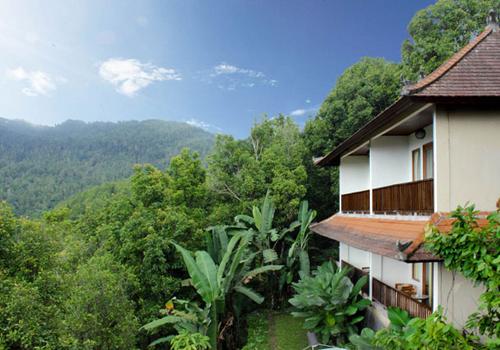 Munduk Sari Villa - 